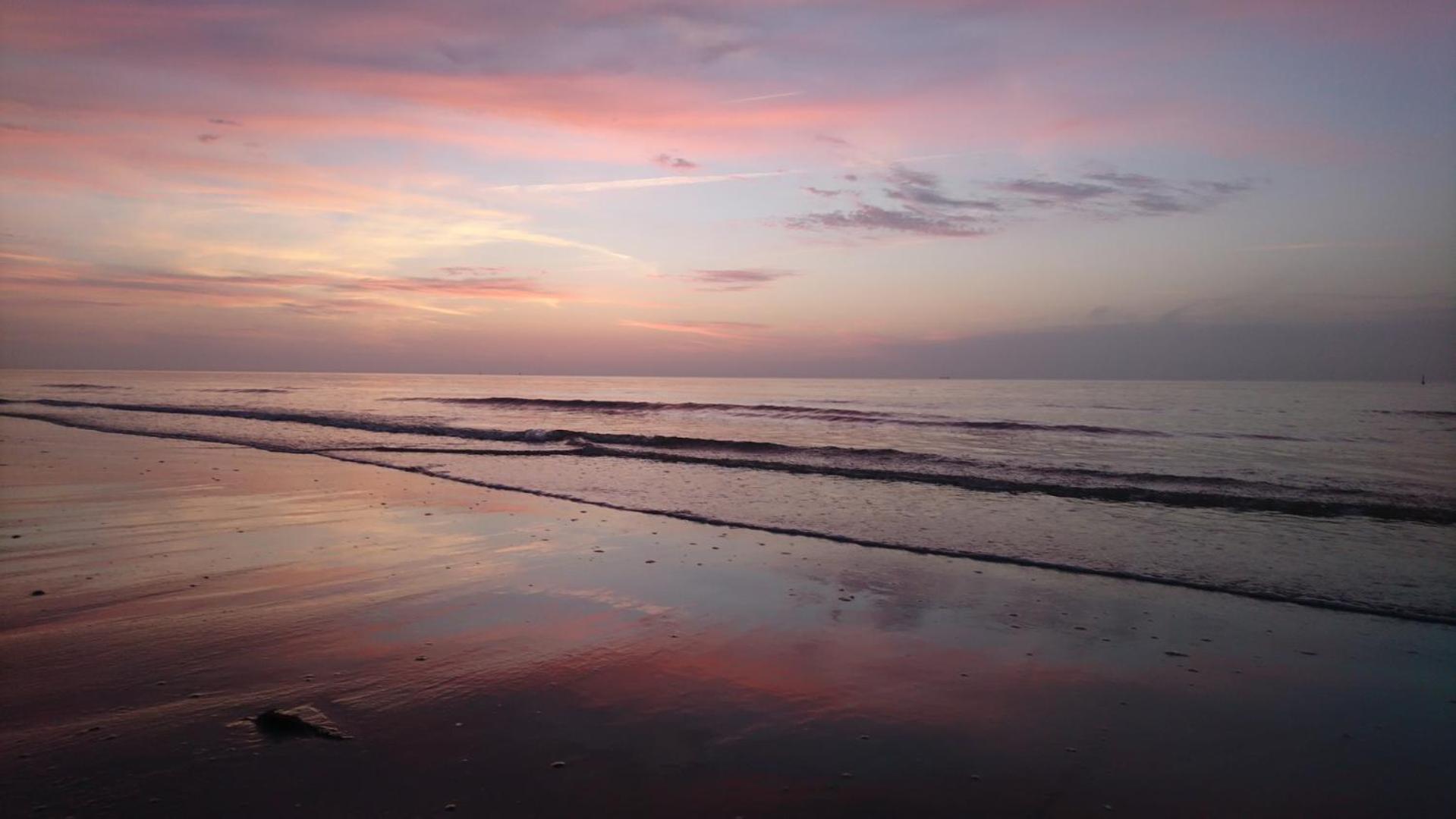 Haus Seeigel Strandflieder Norderney Bagian luar foto